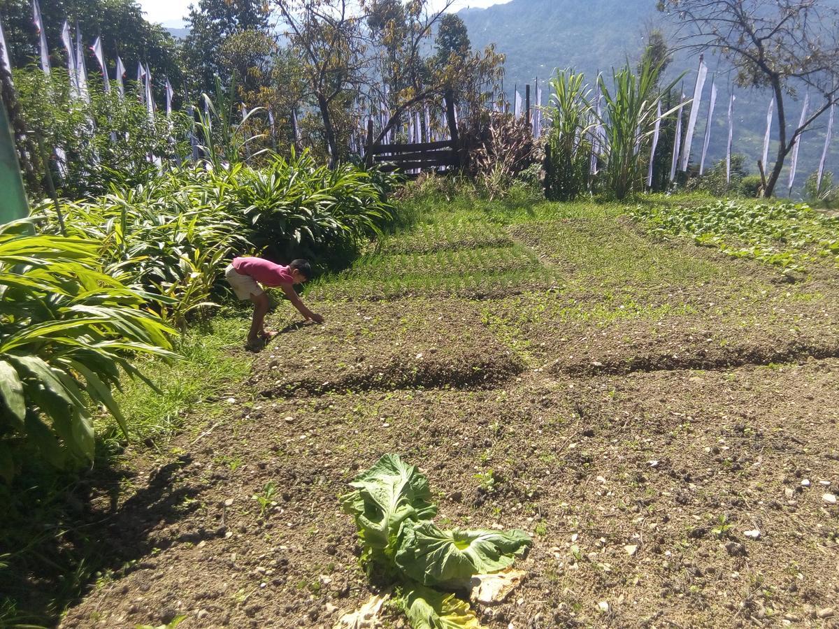 Martam Farmhouse Pelling Extérieur photo