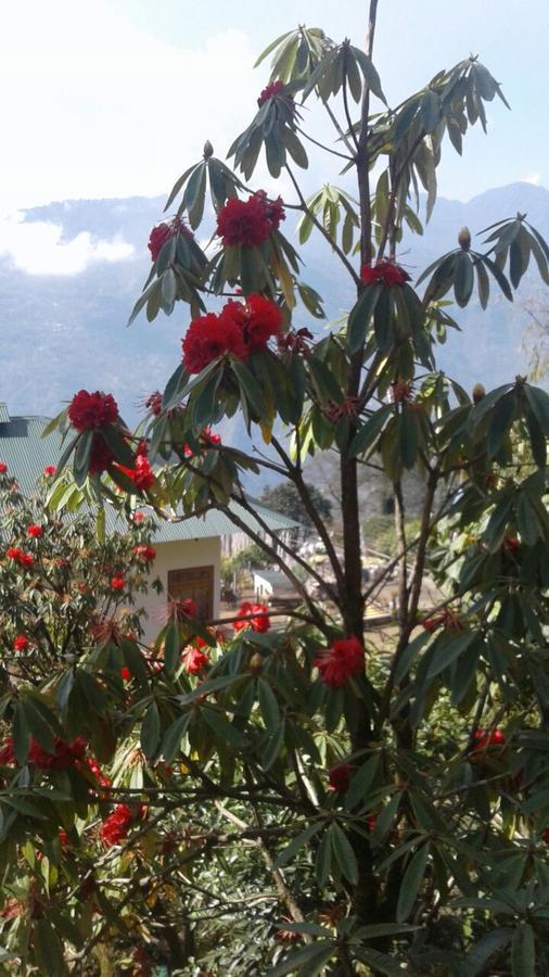 Martam Farmhouse Pelling Extérieur photo